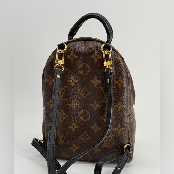 Louis Vuitton Palm Springs Backpack Mini Brown Canvas main image 10